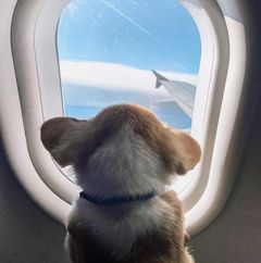 GRE Quant School Student Review